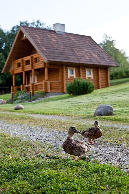 Partsilombi Holiday Home Otepää Eksteriør billede