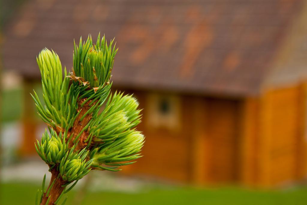 Partsilombi Holiday Home Otepää Eksteriør billede